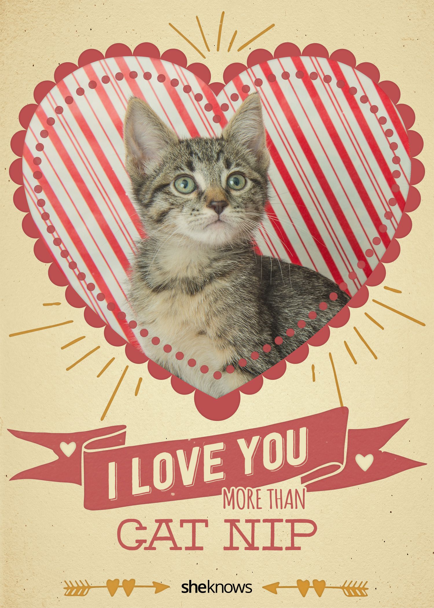 12 Kitty Cat Valentine S Day Cards That Will Make You Aww Sheknows