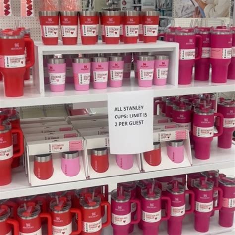 7 Budget-Friendly Stanley Target Valentine’s Ideas