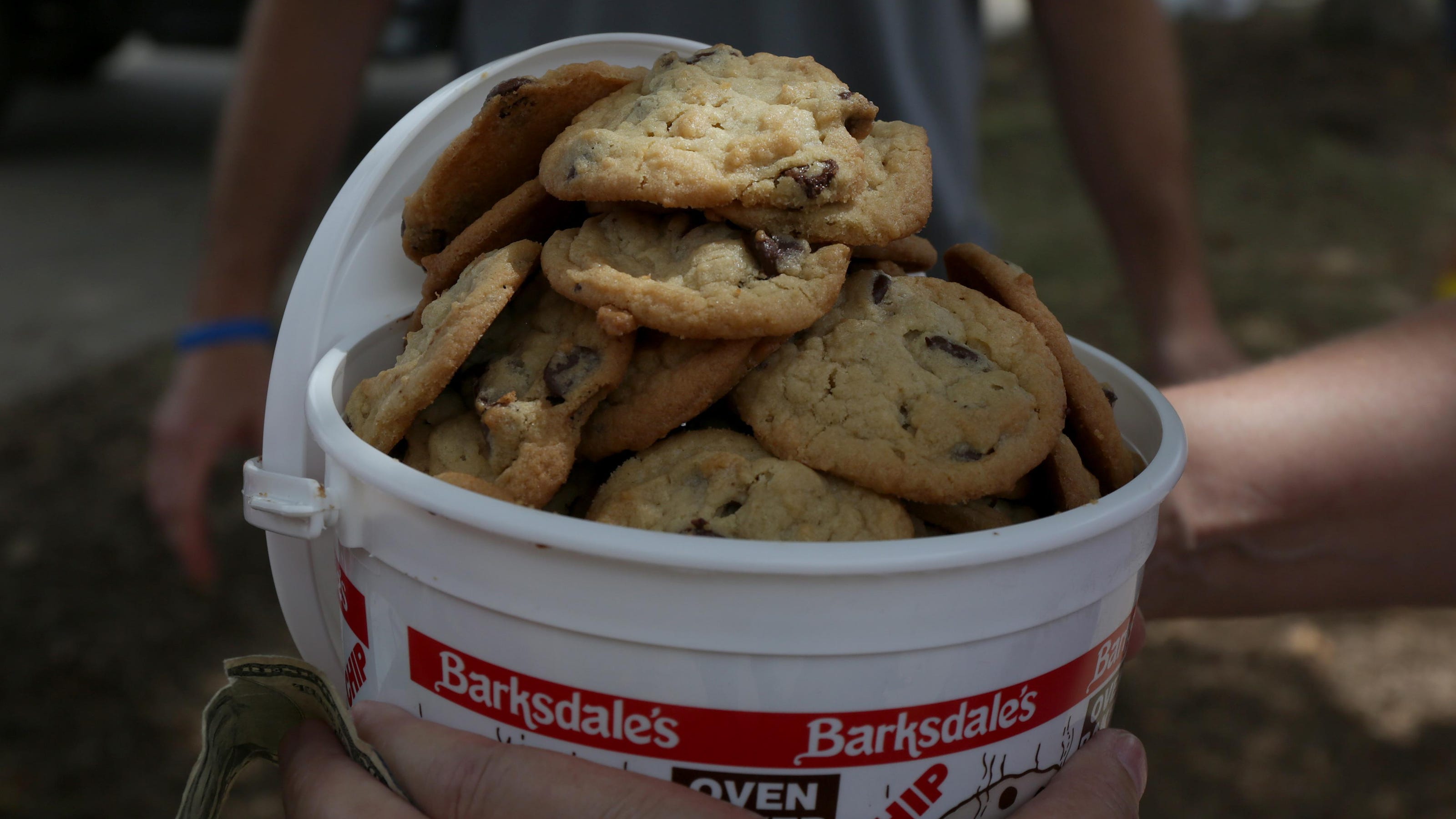 Barksdale State Fair Cookies Makes Valentine Amp 39 S Day Cookie Buckets