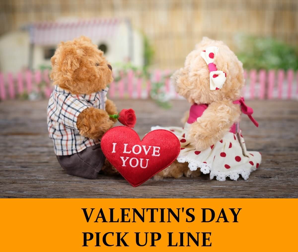 Complete Guide For Valentine’s Day Pick-Up Lines