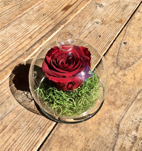 Forever Rose Rose In Glass Dome Valentines Day Gift For Her