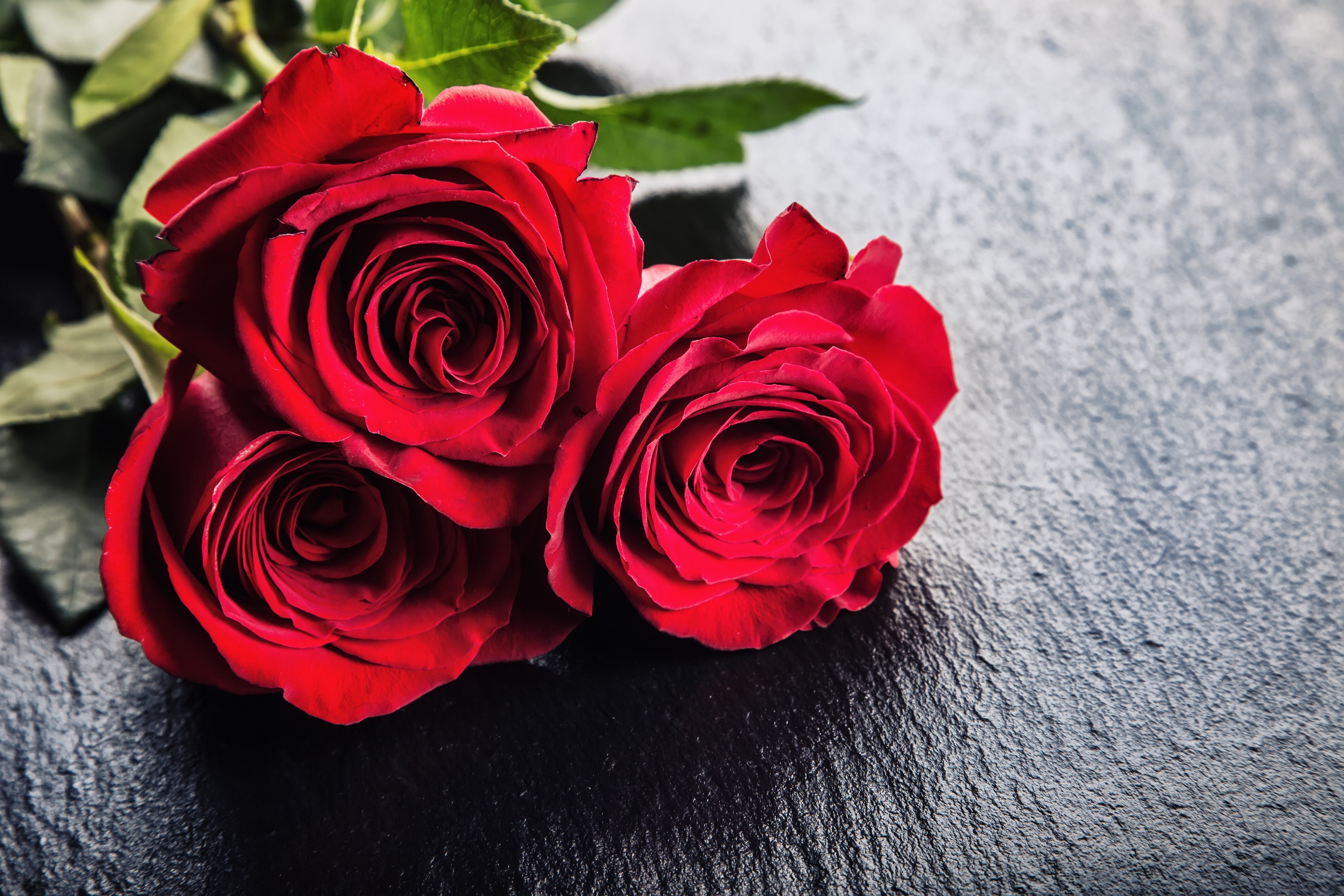 Guide To Ordering Valentine’s Roses Online