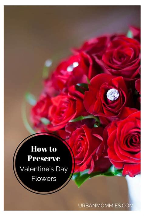 How To Preserve Valentine’s Day Flowers For Longer