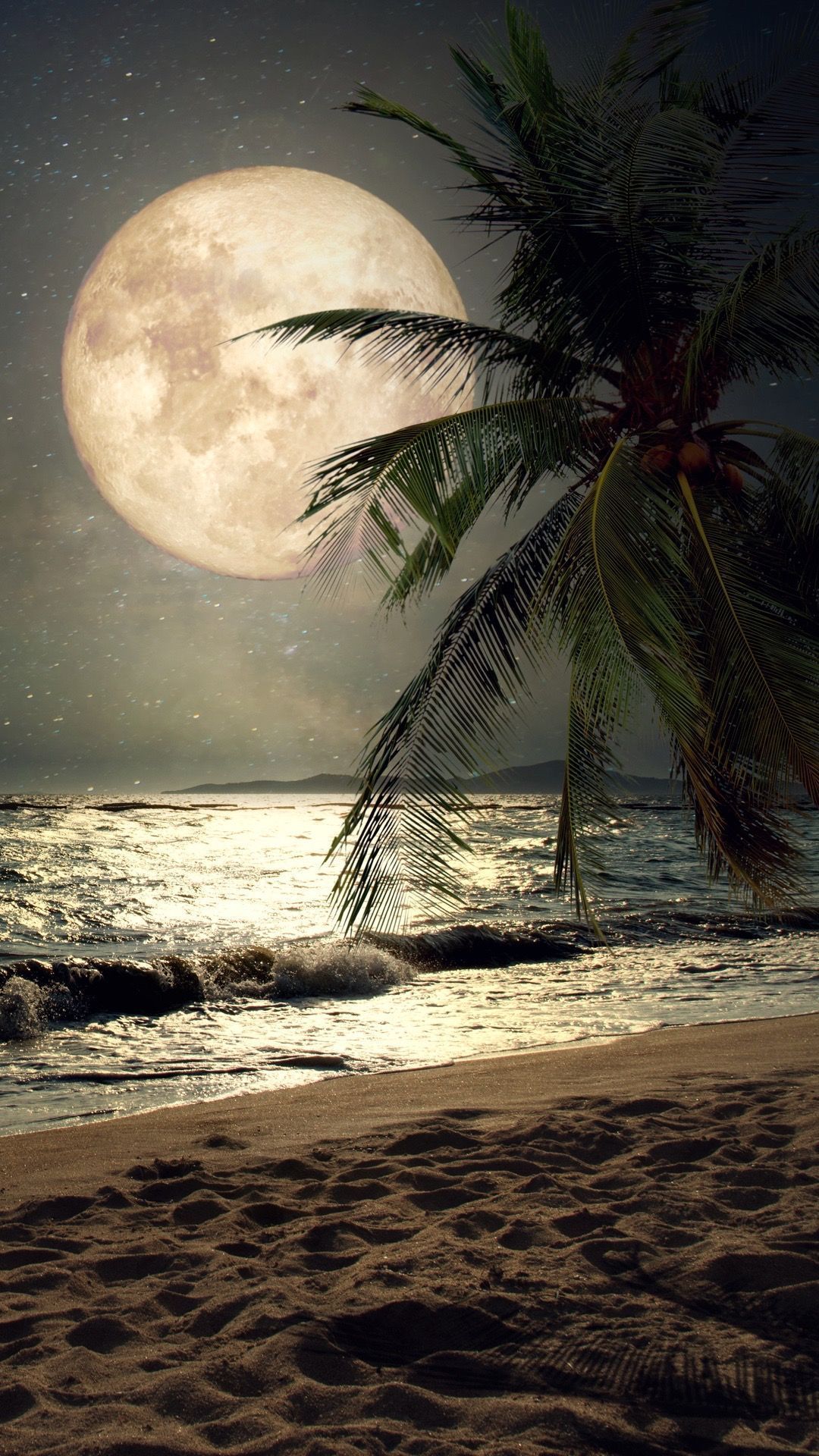 Moonlight Couple Wallpapers Wallpaper Cave