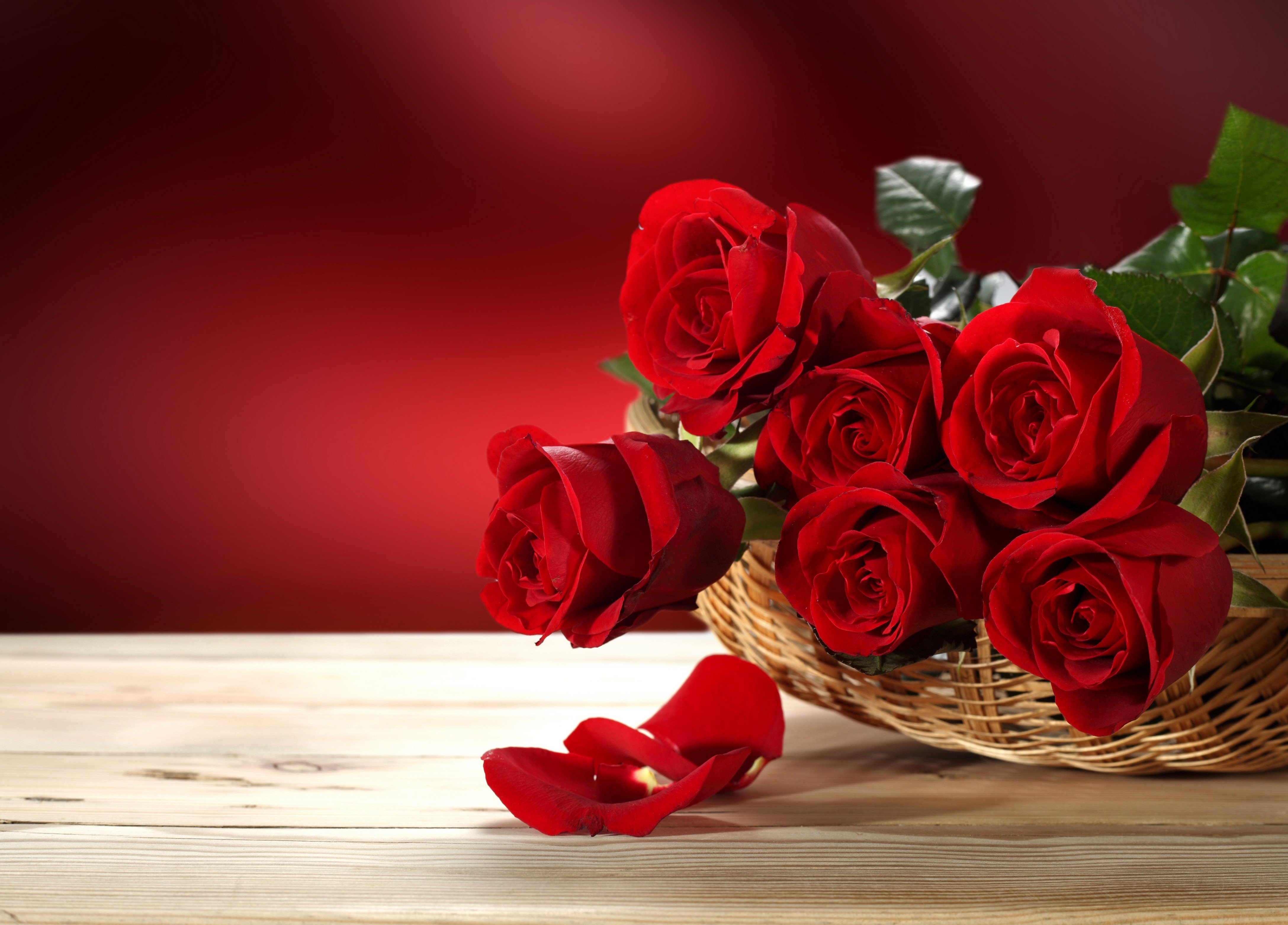 Most Popular Photos And Wallpapers Valentines Day Flowers Flowers For Valentines Day