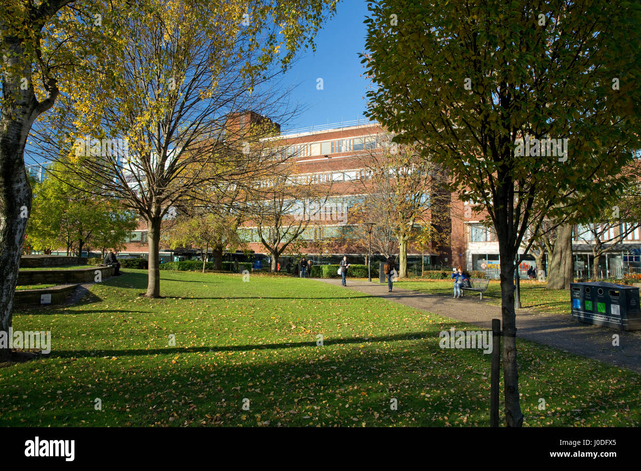 Our Services School Of Law The University Of Manchester