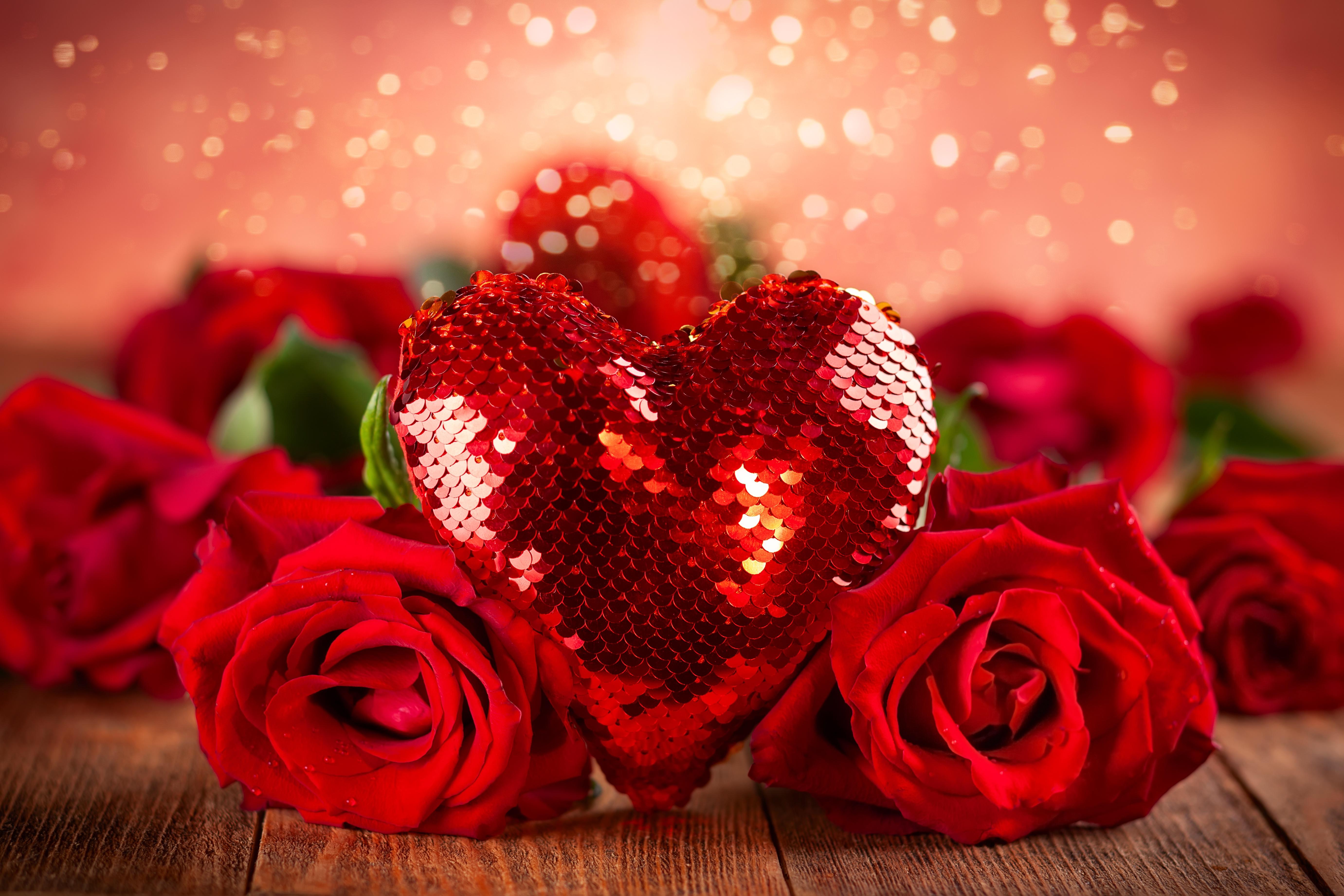 Photos Valentine S Day Heart Roses Gifts Flower