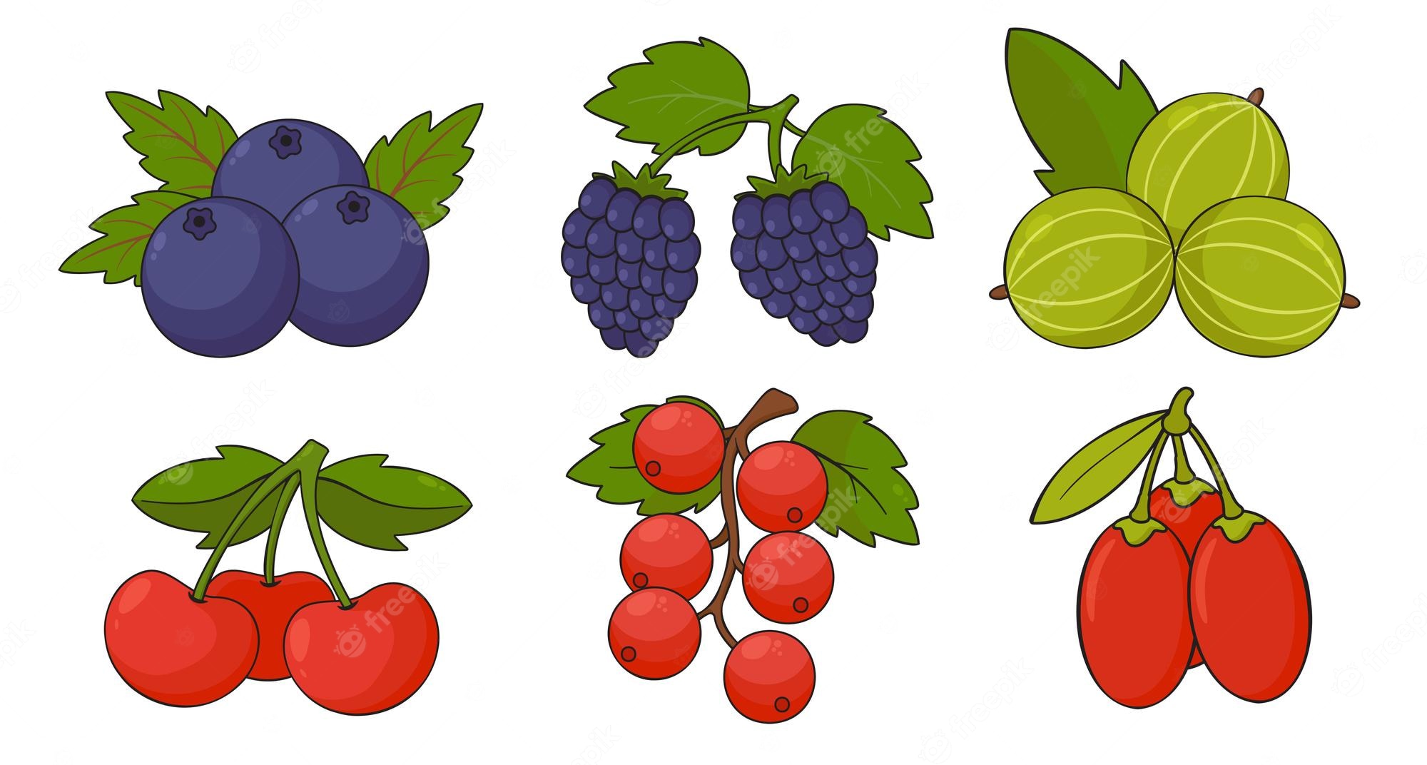 Red Christmas Berries Clipart 20 Free Cliparts Download Images On Clipground 2019