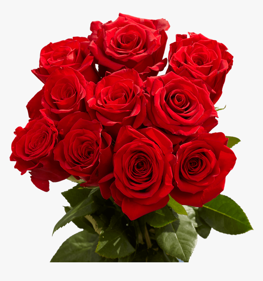 Red Roses Valentine S Day Delivery Globalrose