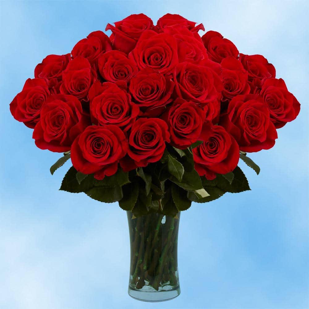 These Long Lasting Roses Are A Perfect Valentine S Day Gift The Daily