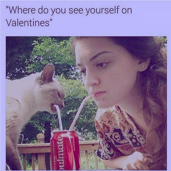 Valentine Day Funny Memes Singles Can Relate To In 2021