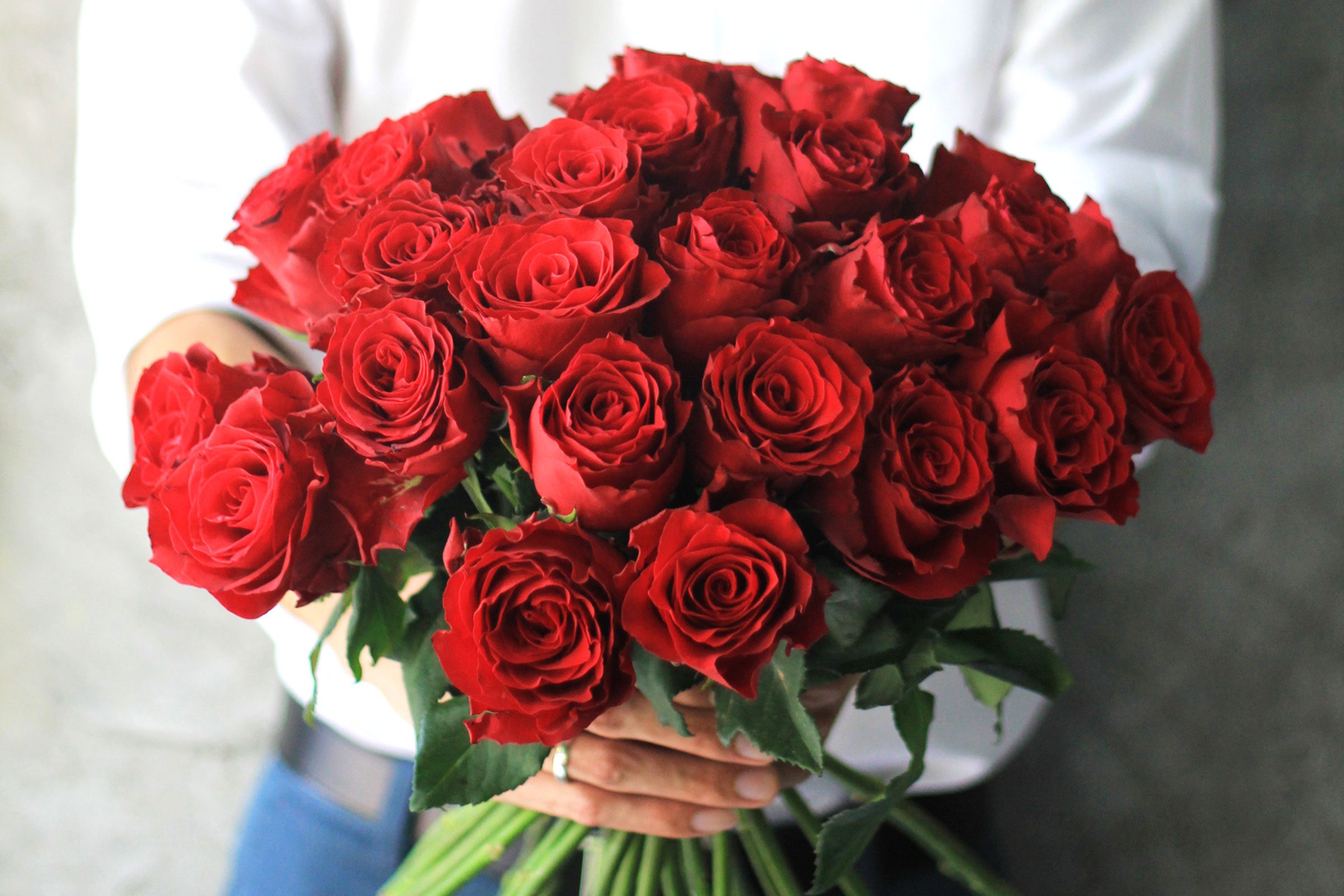 Why Are Roses Popular On Valentine's Day?